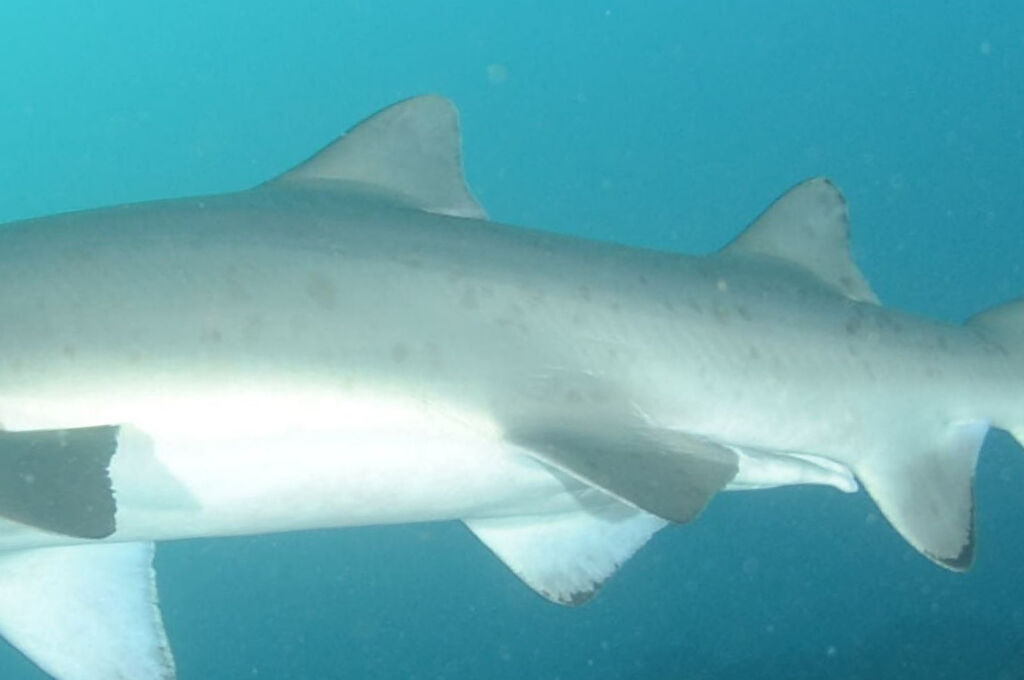 764420bd-7704-4e7e-97ce-8db854dc8c90