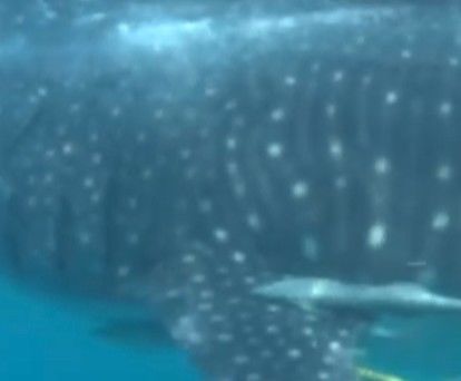 2d6328b9-910e-4ad6-95dd-abca42cb6bda