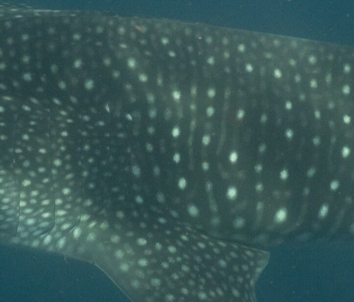 06544be6-a119-4532-83de-d8411a473a90