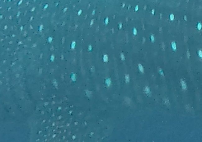 9d07c3e1-0720-42d2-ac76-2f2c28ddf593