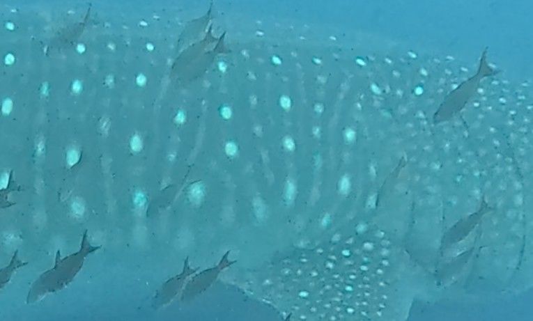 9d07c3e1-0720-42d2-ac76-2f2c28ddf593