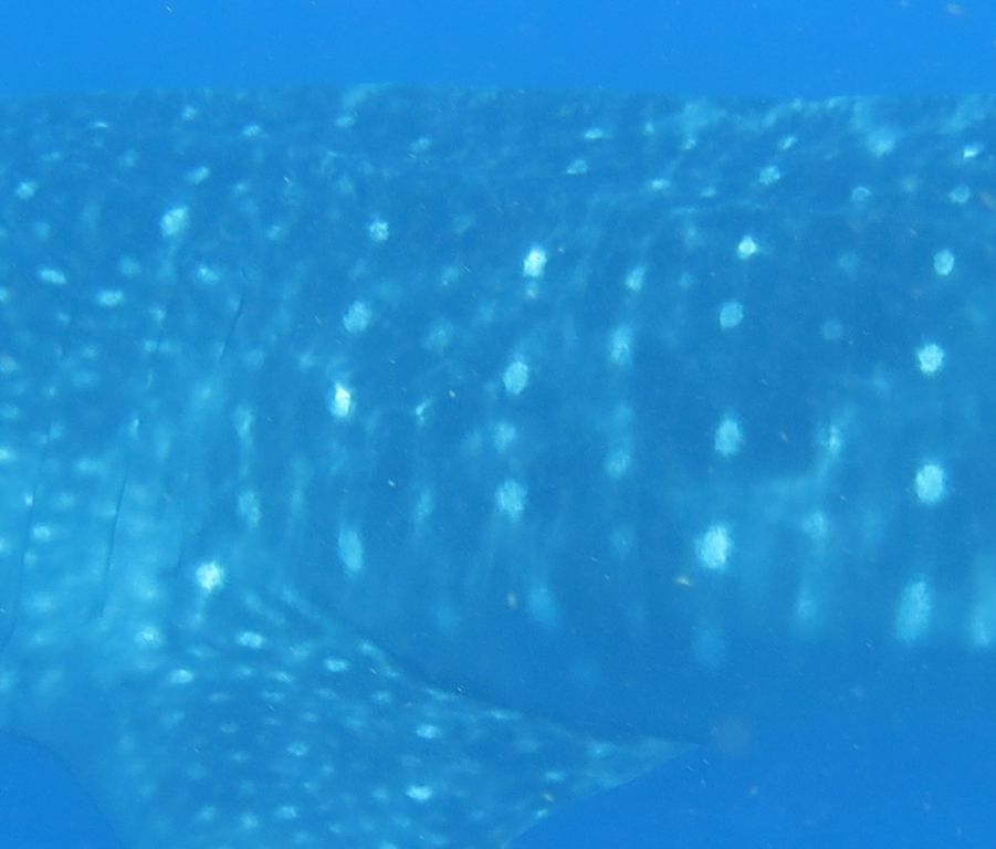 f5ad9d15-1b97-4447-8e52-3c848ee4b967