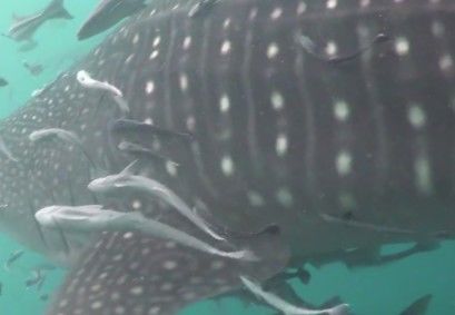 2ef6d29d-632e-4477-9a0e-95653c40ab6a