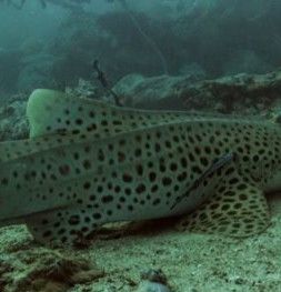 24d3f616-672c-4a9b-a37f-f38ecbf1ded2