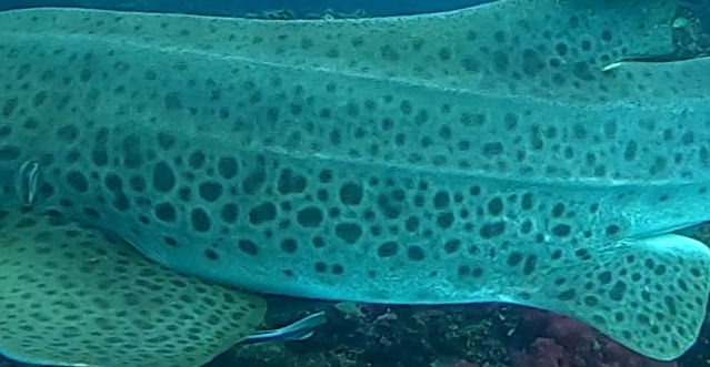 34551923-1f8e-424e-82d1-f2125fc5ede6