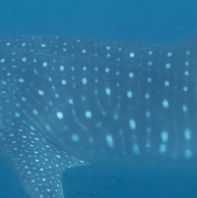 9f413c3a-bcb1-46ce-9c43-663987c78f98