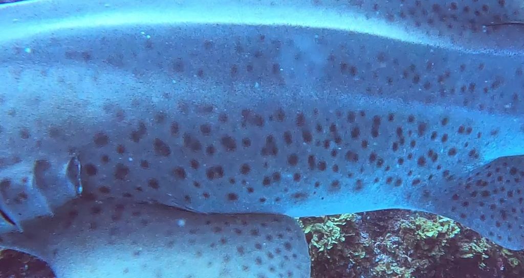 592cf5c3-5821-4892-b3c9-b88fc3649973