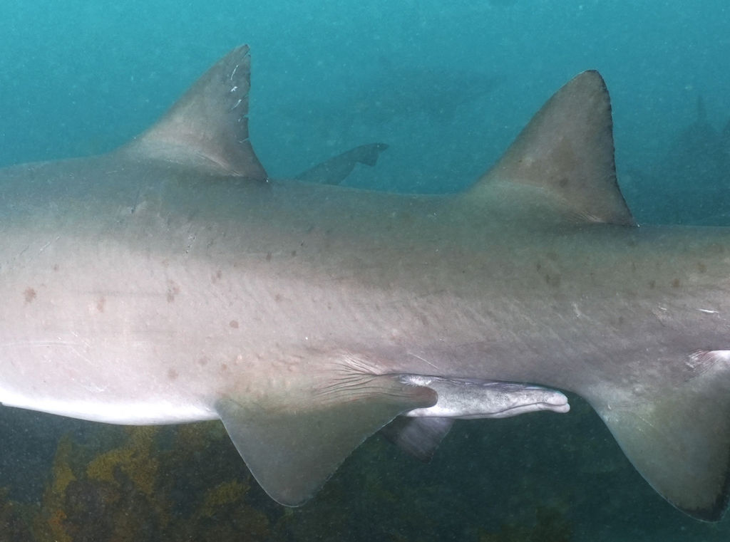 001147d0-82c5-45fc-b837-d9e2eb703435