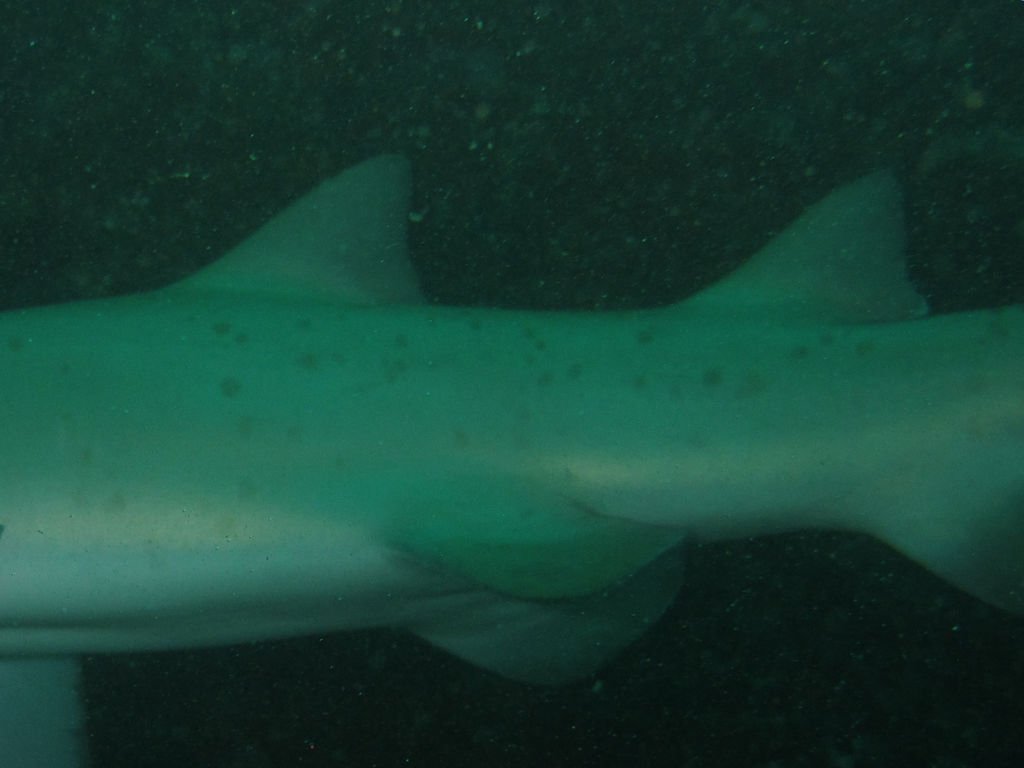 2ef3f4ad-c586-4db4-a655-6f367c9ec81e