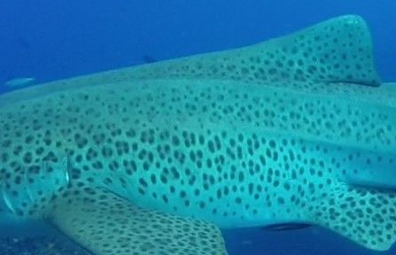 0f0b849e-5a13-4ce7-aef9-ef706d682c64