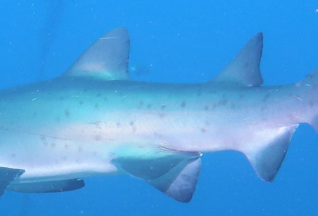 43c6c12b-4688-47de-9199-62586e3374a2