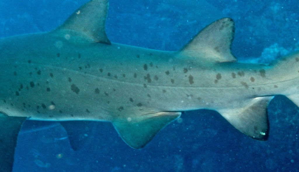 42a46449-19cc-40bf-9c3f-f5c141ac912c