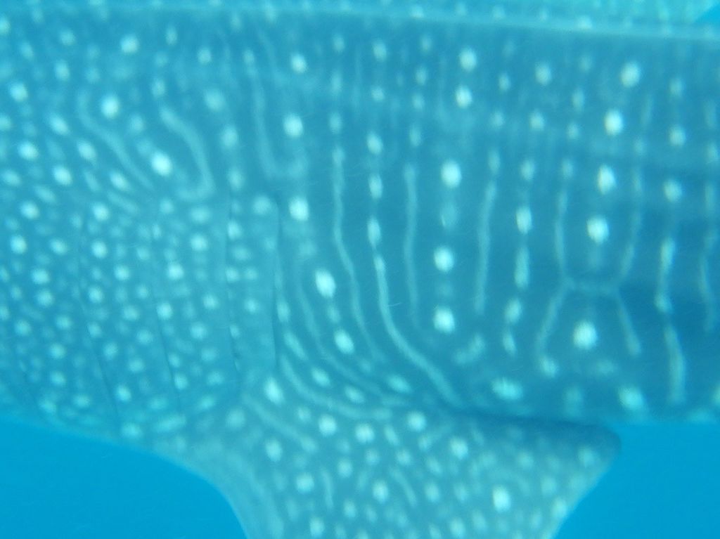 5f35a81c-b19e-4c64-9d62-413cf0a008a9