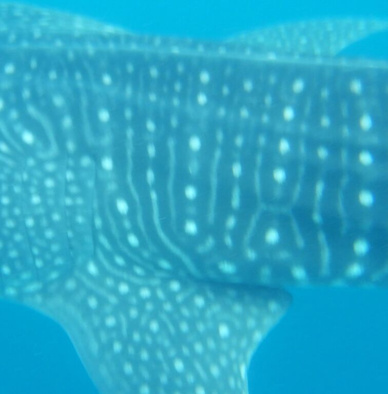 5f35a81c-b19e-4c64-9d62-413cf0a008a9