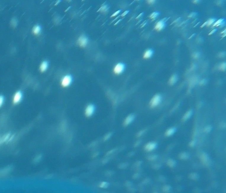 3dd3c62a-5671-4d7c-9449-ce5fe7f5548a