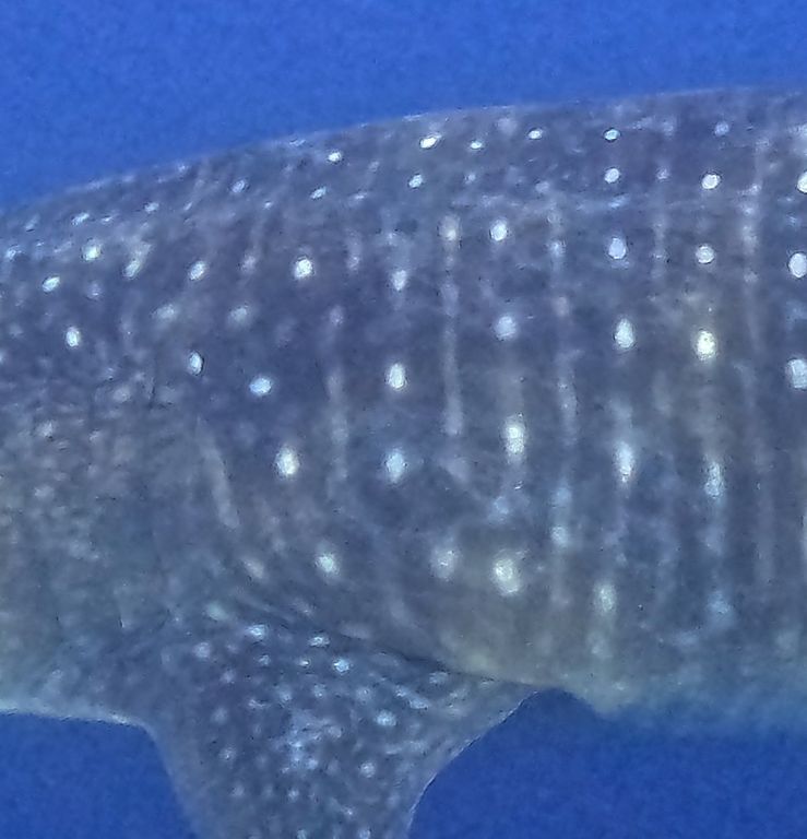 f267ca06-182a-4639-87dc-6e2d68c7627f