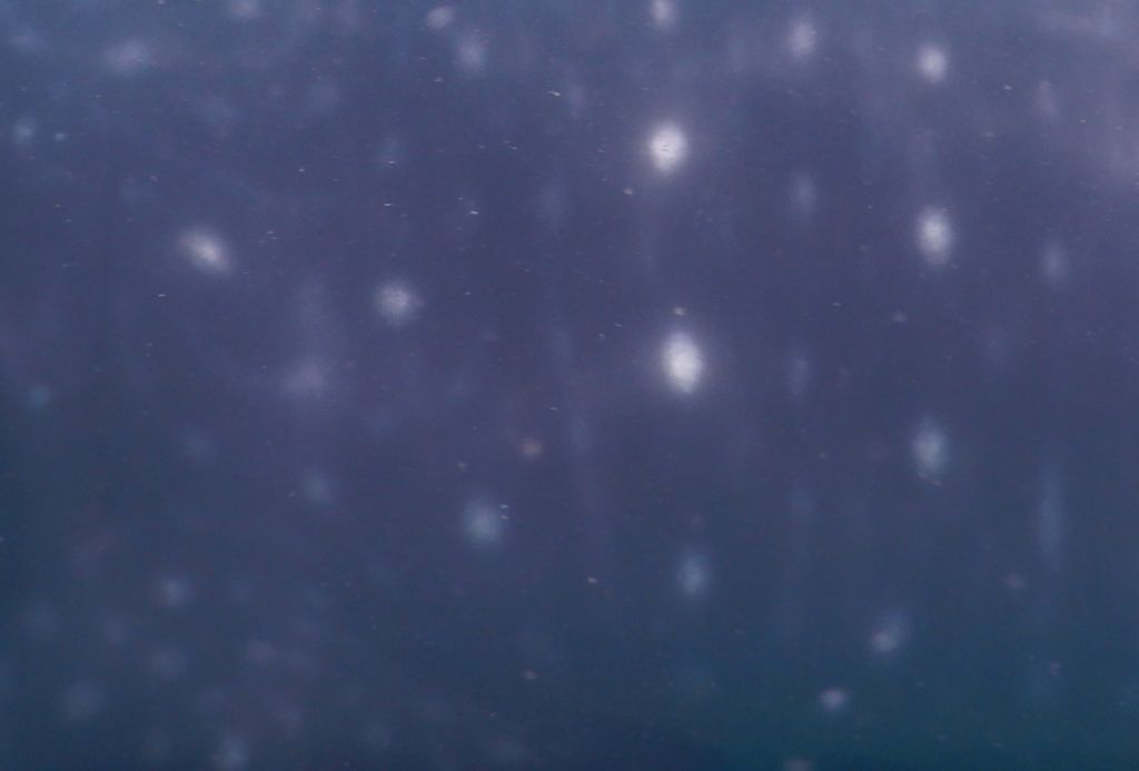 ccaf7542-5c89-478a-a0ae-3f31532e27c7