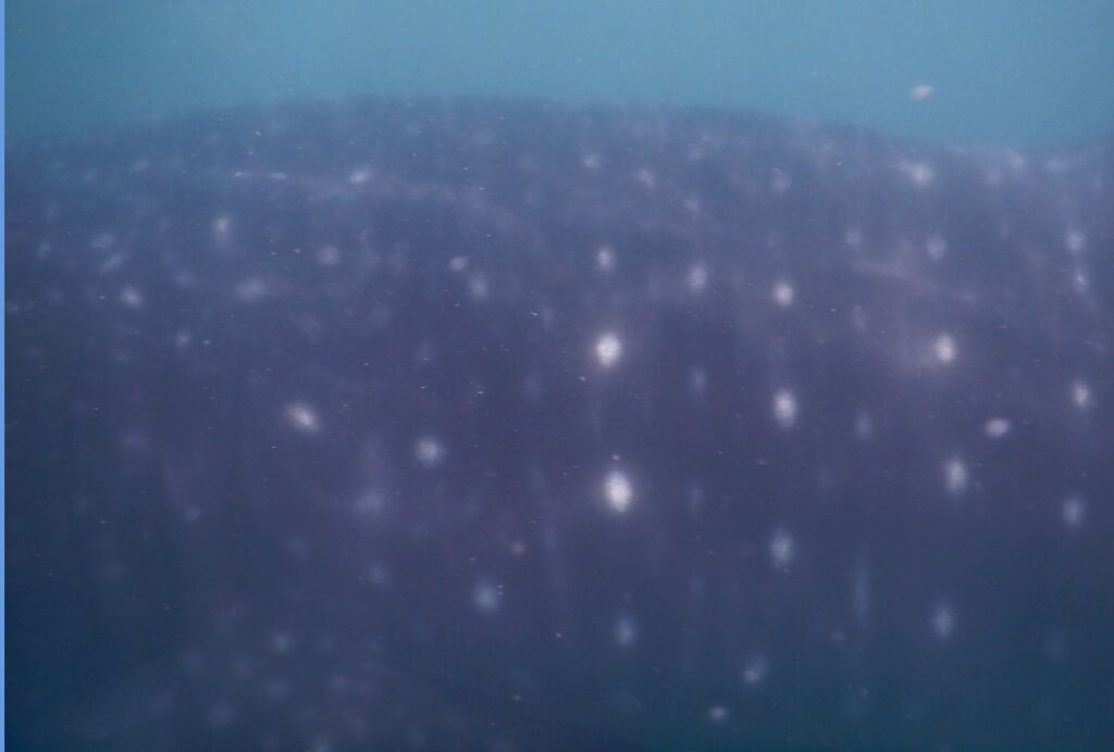 ccaf7542-5c89-478a-a0ae-3f31532e27c7