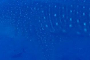 2140a88c-2f58-43c0-99a1-b1d2b7d3aedf