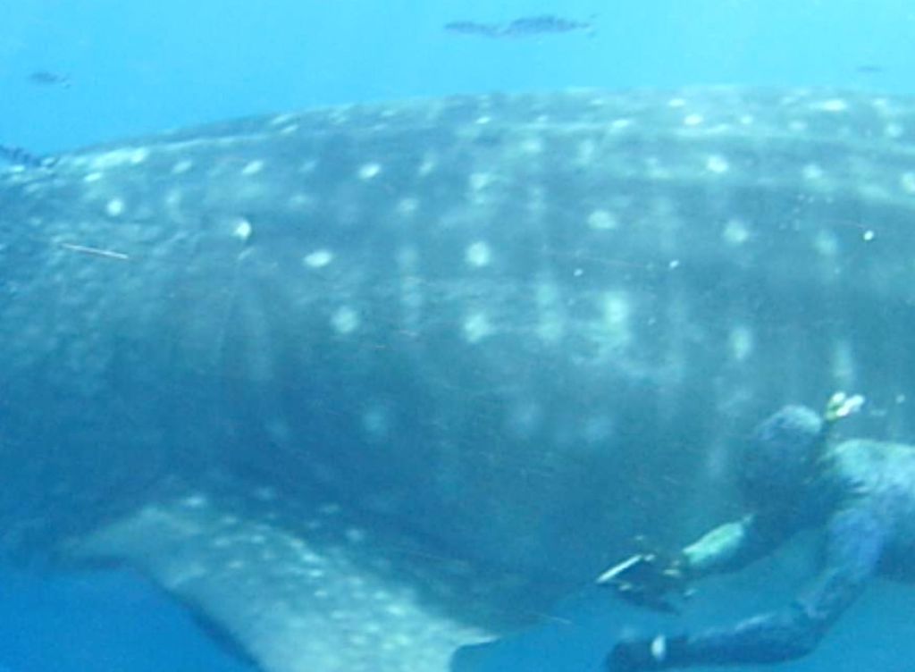 e851d040-4353-4740-b7fa-f1f75433bd46