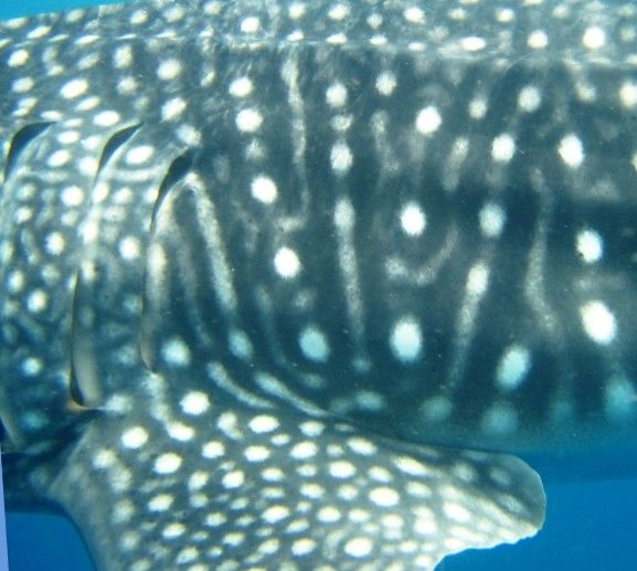 29a18e20-4018-42c7-9e0c-0916639cb2f3