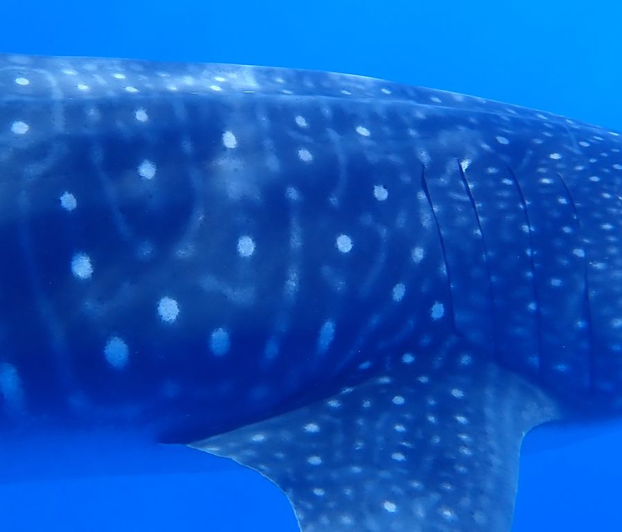 8e29d15c-0e34-44b8-8da9-2c515b09eb8d