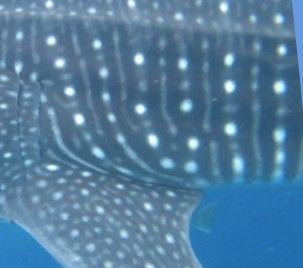 f8306f7a-8f80-4489-8da7-2639075dcc1a