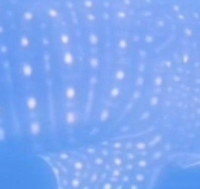 6f1d2a5f-3b88-48b5-9fed-6ae9ef30275c