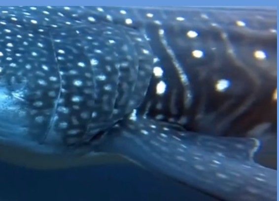 a144b49e-ae62-4459-8a0d-0e4467ff1185