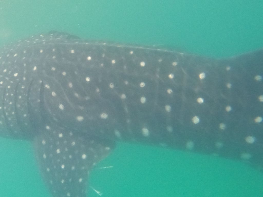 e0f2bdfe-923f-45e9-8b0e-6560e11e4f6d