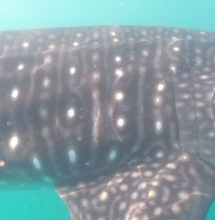 1cc175dc-a704-4d1c-8169-a36029695d99