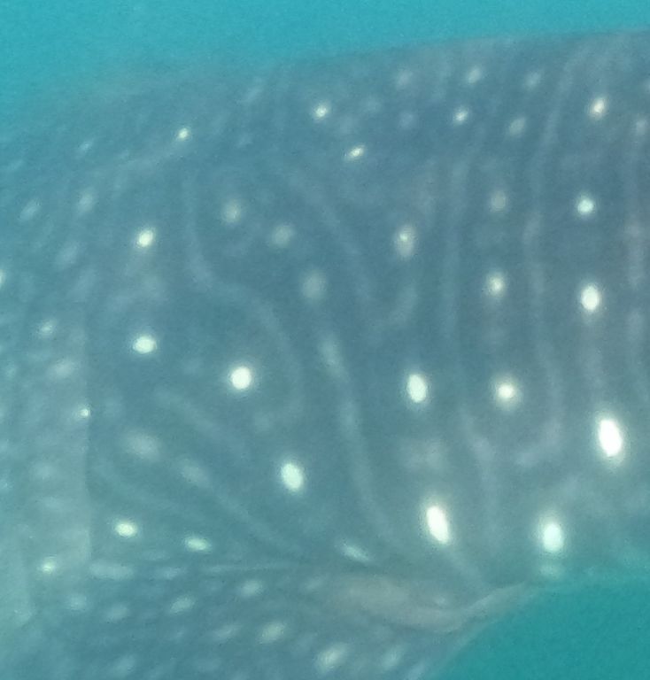 1cc175dc-a704-4d1c-8169-a36029695d99