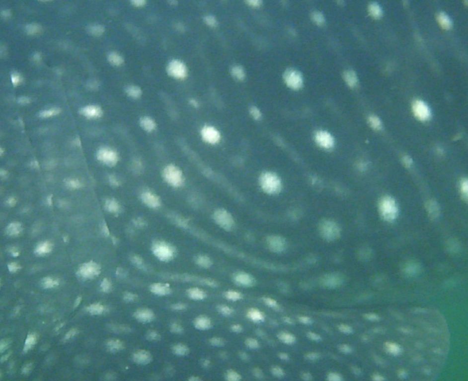 d6c11c81-8404-44aa-b63d-f1efc8c6cbe7