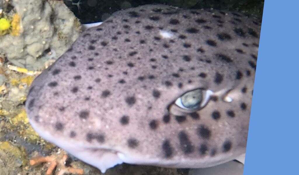 49a16587-1ad0-4ec1-9ed2-302f19fbdf92