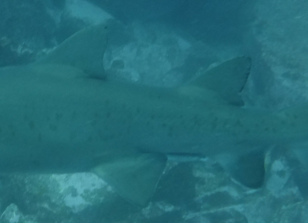 1744b9fa-0469-44a3-b849-716c2491142e