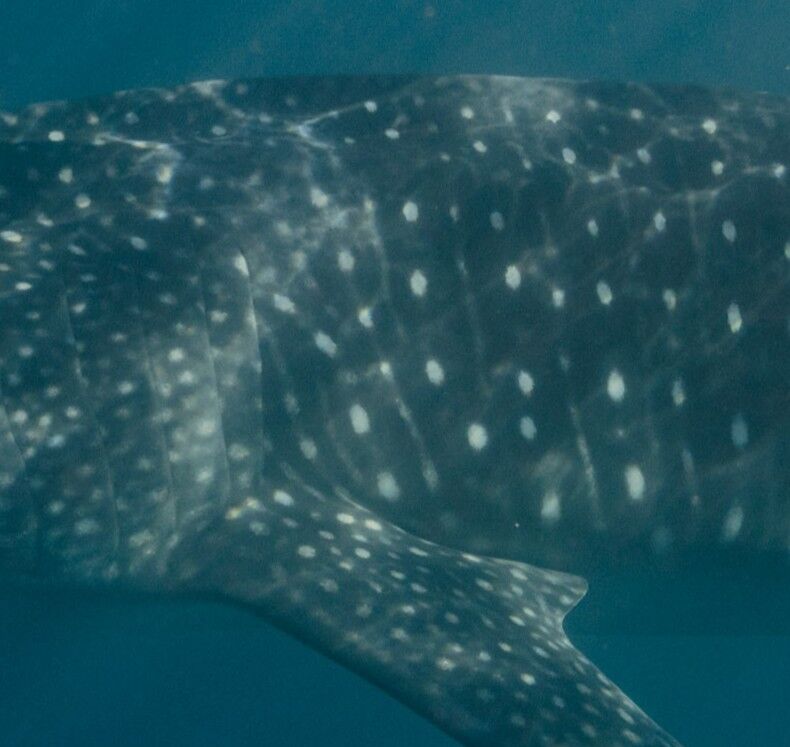 c41e306e-9280-4108-b5b8-98206bceaf22