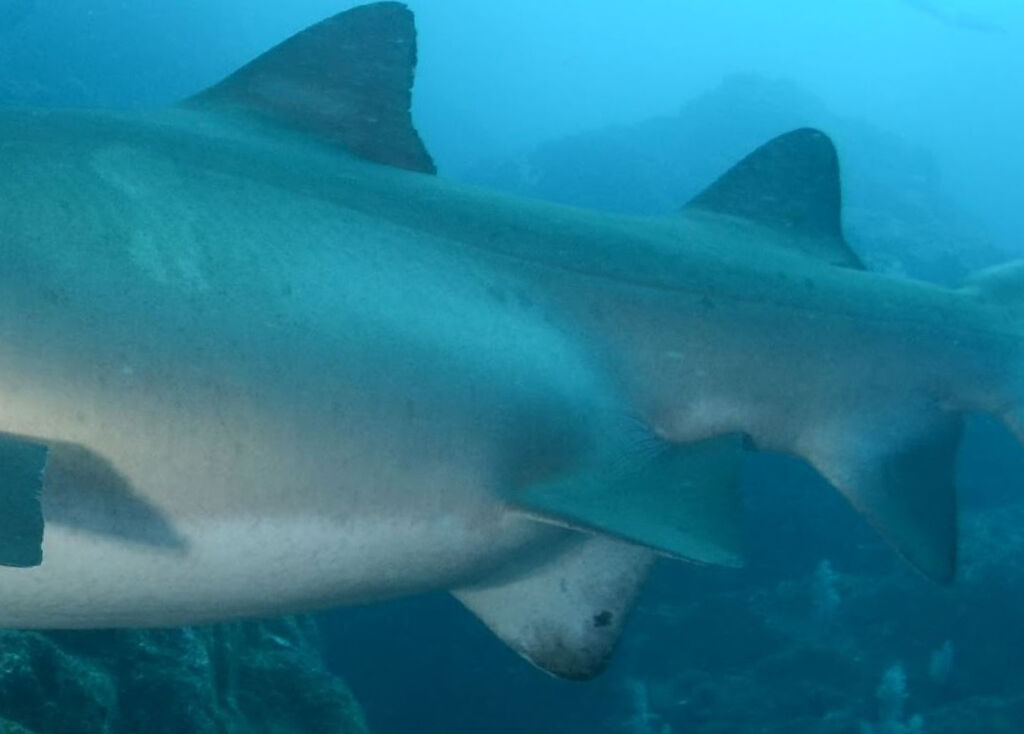 35ae158e-d4e3-44d6-8276-7c379410dcf3