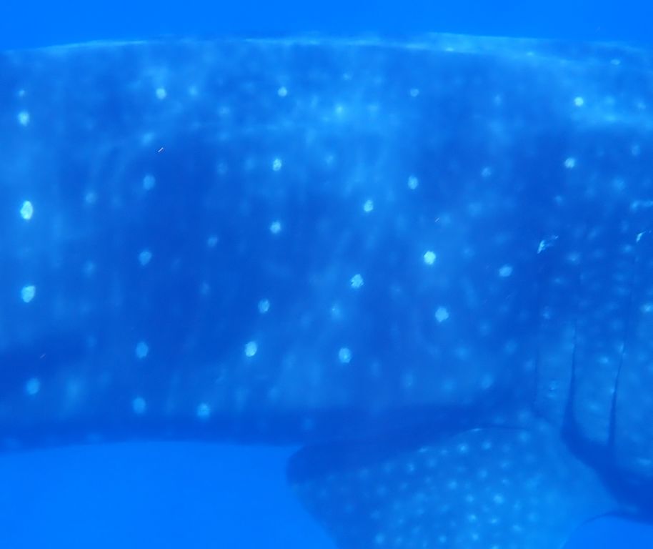 4de21f5e-d079-4a76-bb70-98c61f66ca22