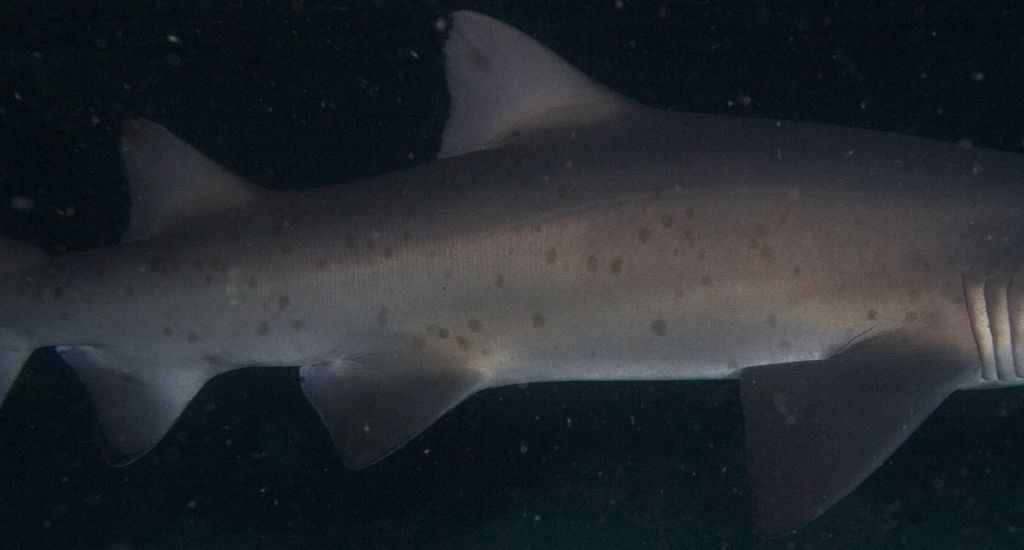 b99a3dd5-f063-406f-b040-22be956a1e78