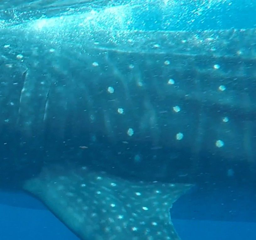 65be6c7b-395a-46c4-b957-0d5e832e62b4