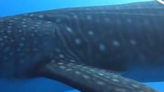 f4dc268d-2337-4fe1-859f-12f78d2c4519