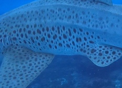 6df2ed2a-aafe-41fa-b6f7-92c6b6c54462