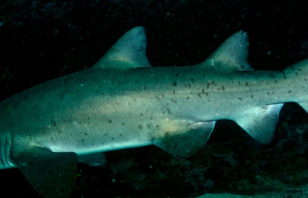 fb2a31ee-a2a3-492c-bb50-4f19e6b6acc0