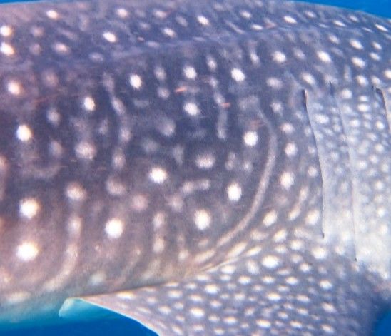 3bfdd2ae-d8c6-4bbd-9231-9c0a3a13bbe9