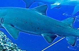 ebbc74d0-a57d-45a0-b476-b67e991993ca