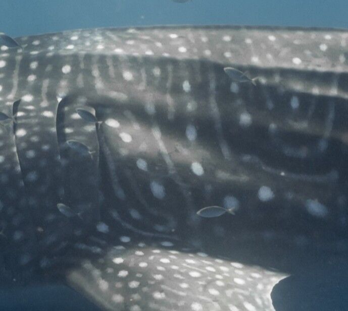 291a2b5c-9779-4626-aa8b-99f72f165546