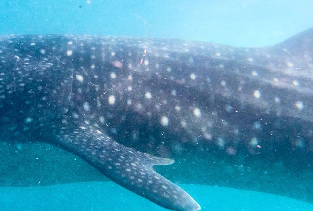 b70cdbcc-00d3-46de-bb2e-2946ba8d233c