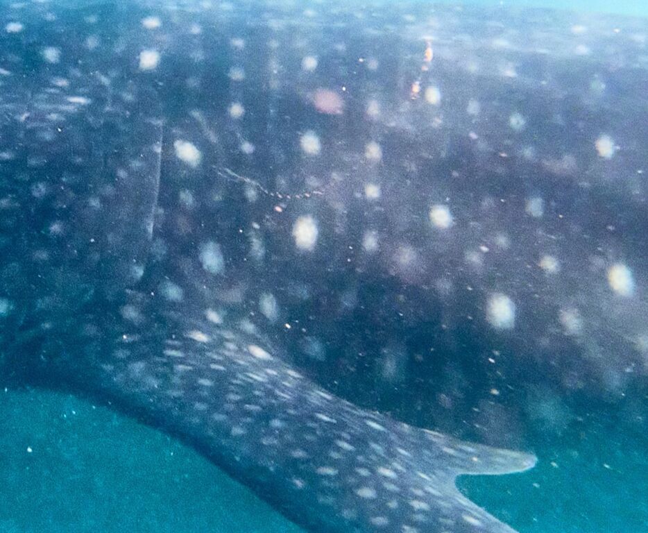 b70cdbcc-00d3-46de-bb2e-2946ba8d233c