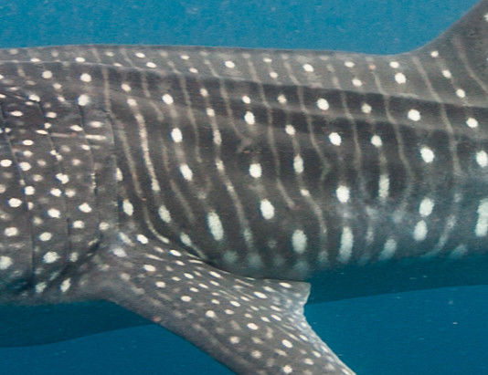 3cecbae2-efbd-4028-bc21-6ba7df8e4f44