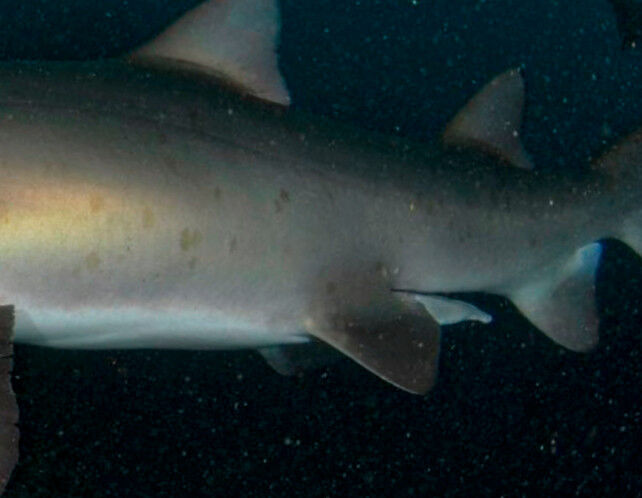 8d57a6d7-6b97-45a1-a780-745245354c3f